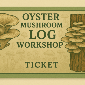 D.I.Y Oyster mushroom cultivation workshop - Ticket