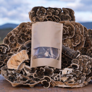 Fungiifind Dried Turkey Tail
